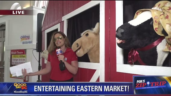 Eastern Market | Zip Tip: Having Fun!