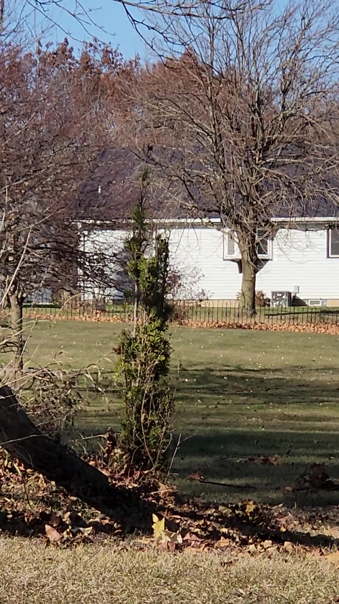 Viewer video: Sheboygan County gas line explosion