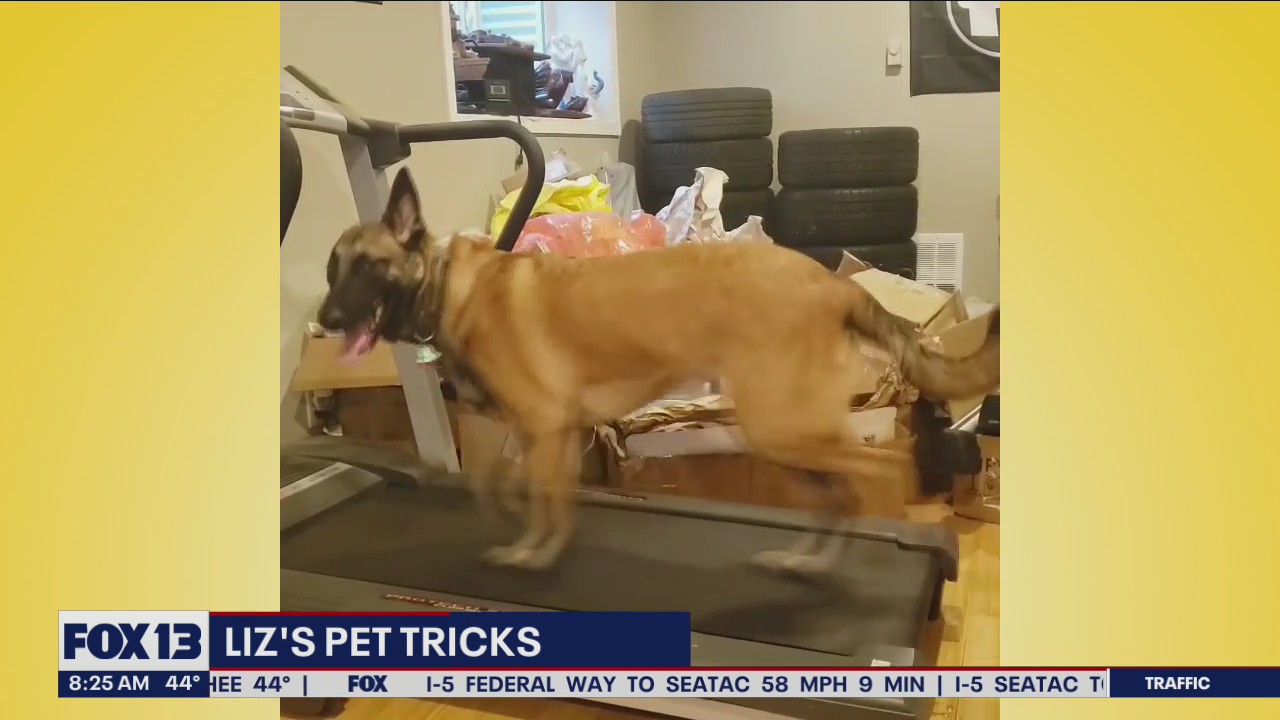 Liz’s Pet Tricks for Friday, May 13