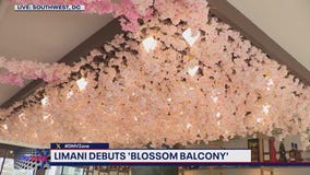 Limani's Blossom Balcony opens to the public