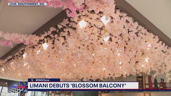 Limani's Blossom Balcony opens to the public