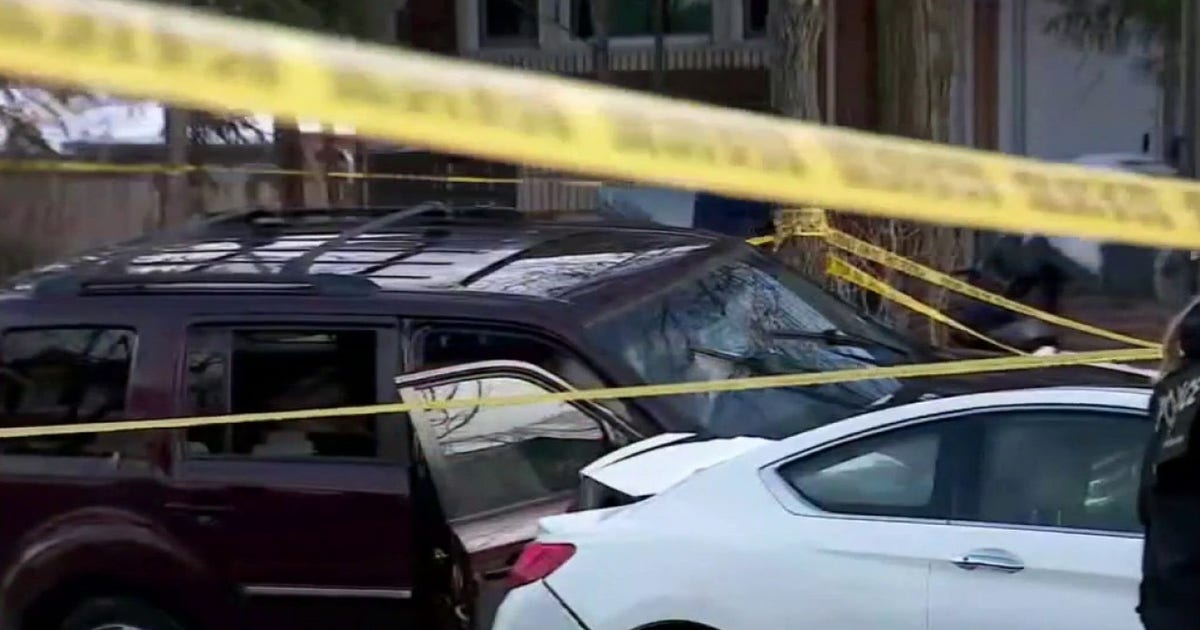 Renee Good: Woman shot by ICE in Minnesota | FOX 11 Los Angeles