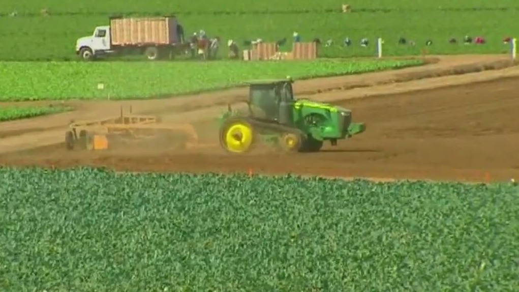 New report details economic fallout of immigration crackdown