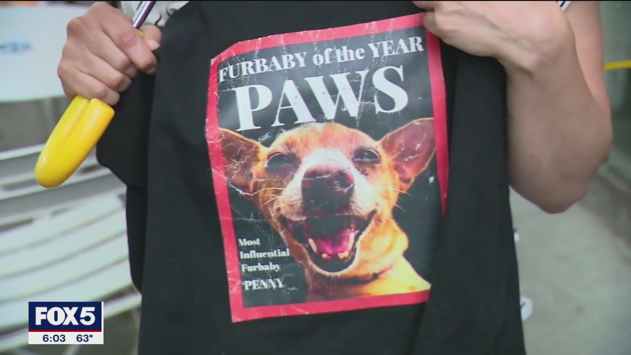 Service dog attacked by pit bulls