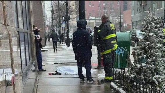 Dog electrocuted, another injured by stray voltage in River North