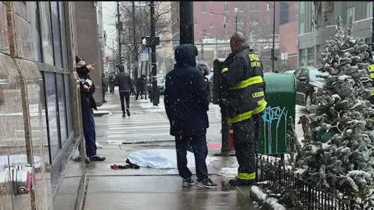Dog electrocuted, another injured by stray voltage in River North