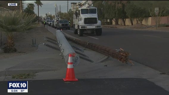 Cleanup underway after storms leave damage in Phoenix