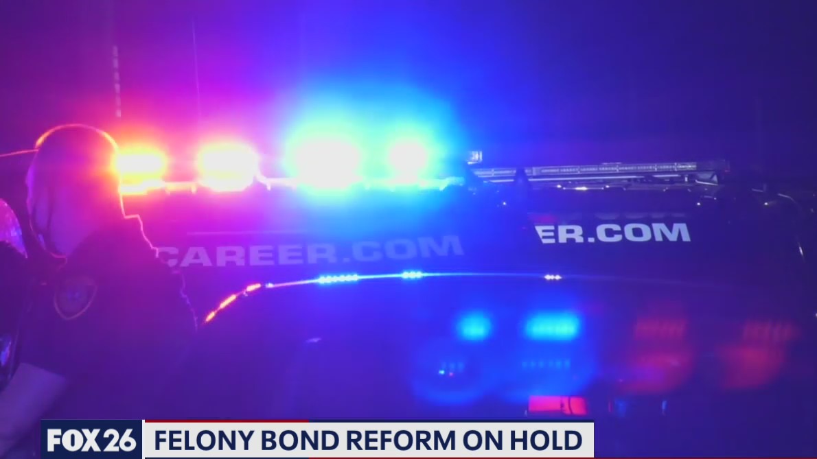 Felony bond reform on hold
