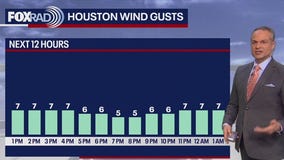 Houston weather: Sunny, warm Monday afternoon