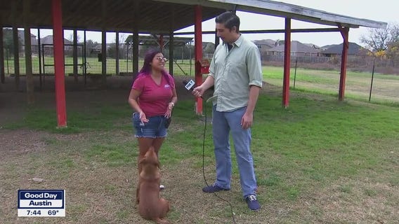 Pet of the Weekend "Scrappy"