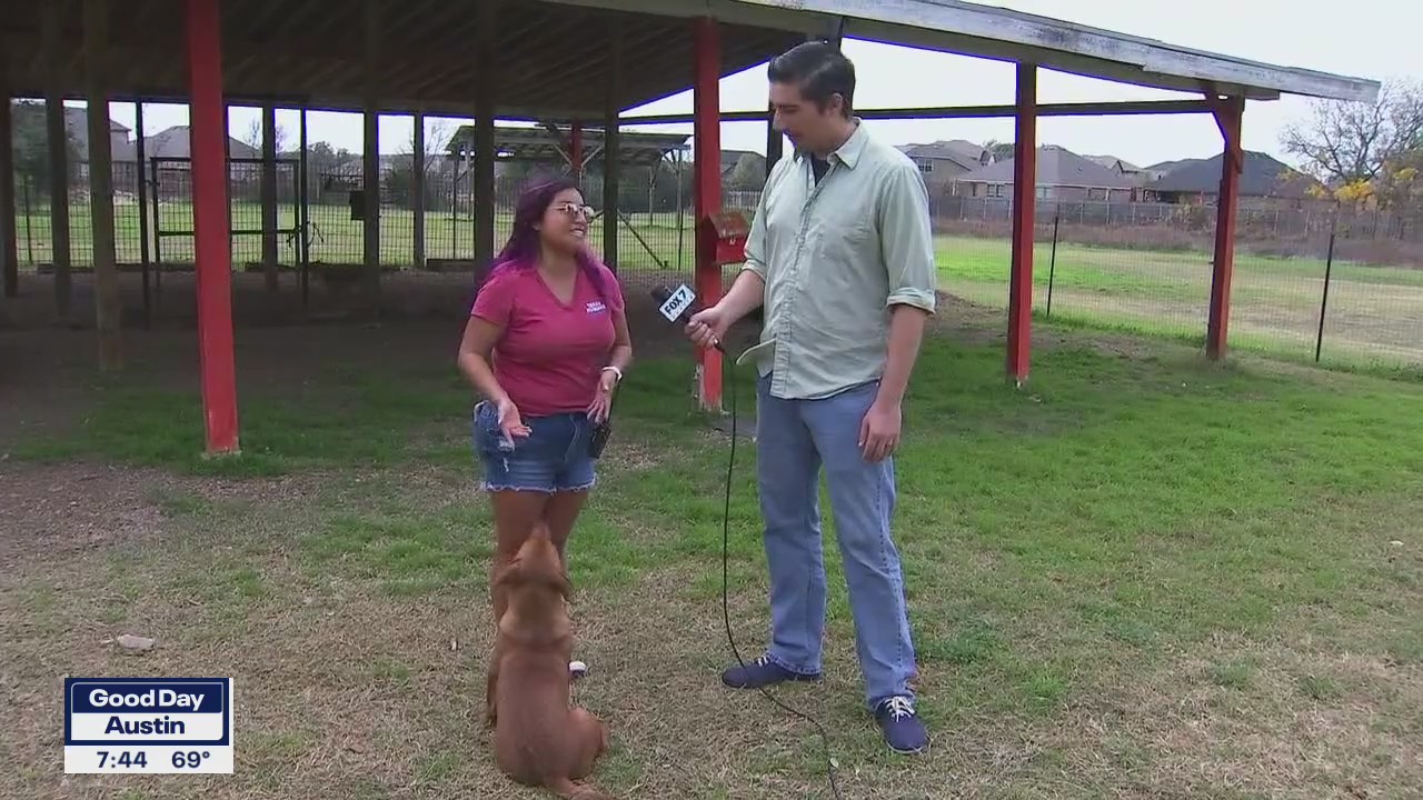 Pet of the Weekend "Scrappy"