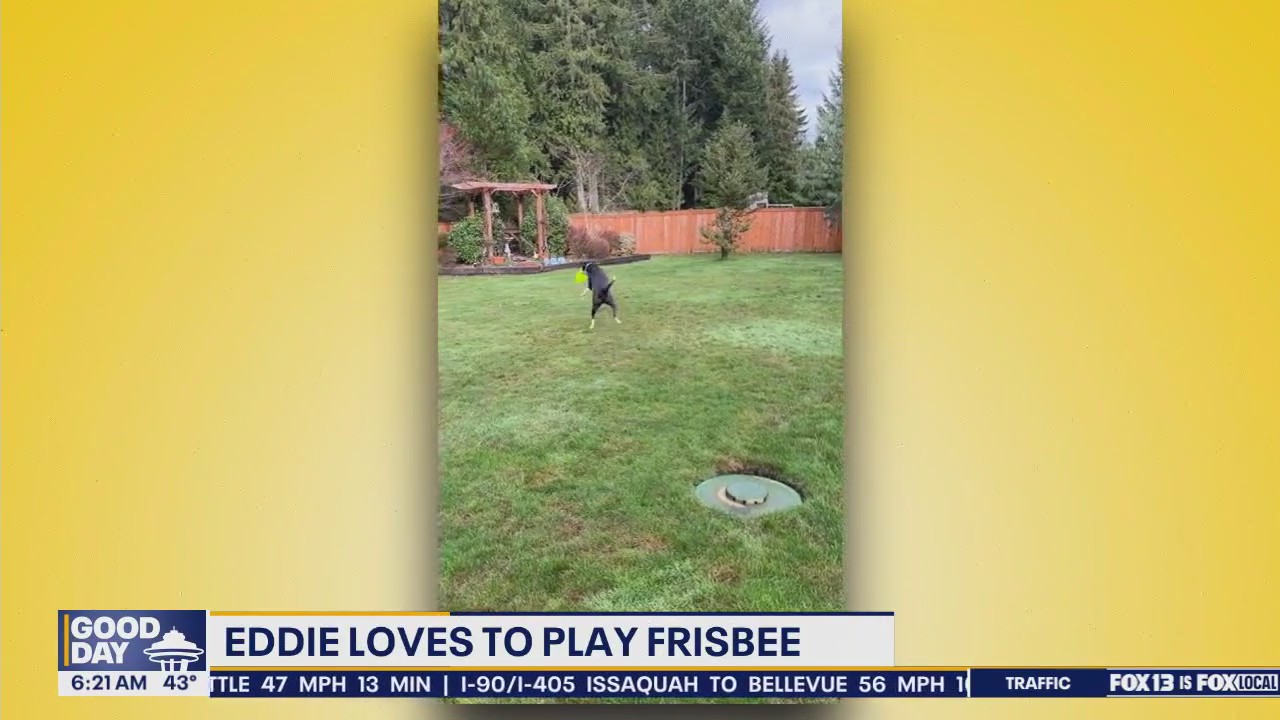 Pet Tricks for Thursday, February 27