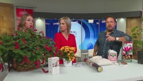 Q&A with the Garden Guy