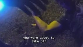 Only in Florida | November 21, 2025