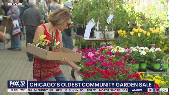 Chicagoans taking advantage of one of the city's oldest community events