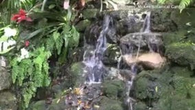 Must-see: Magical Florida daycation