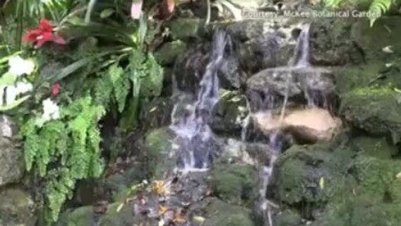 Must-see: Magical Florida daycation