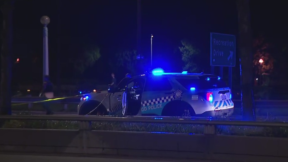 Man struck by car, critically injured after running across DuSable Lake Shore Drive