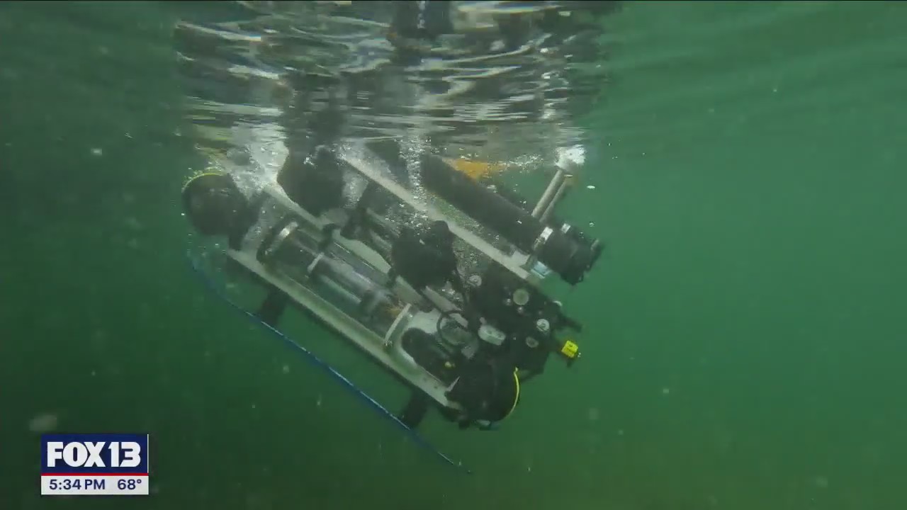 Robots to the rescue: WA?s high-tech solution for seagrass restoration
