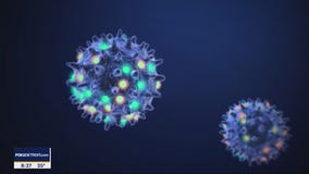 The Doctor Is In: You've tested positive for Covid-19, now what?