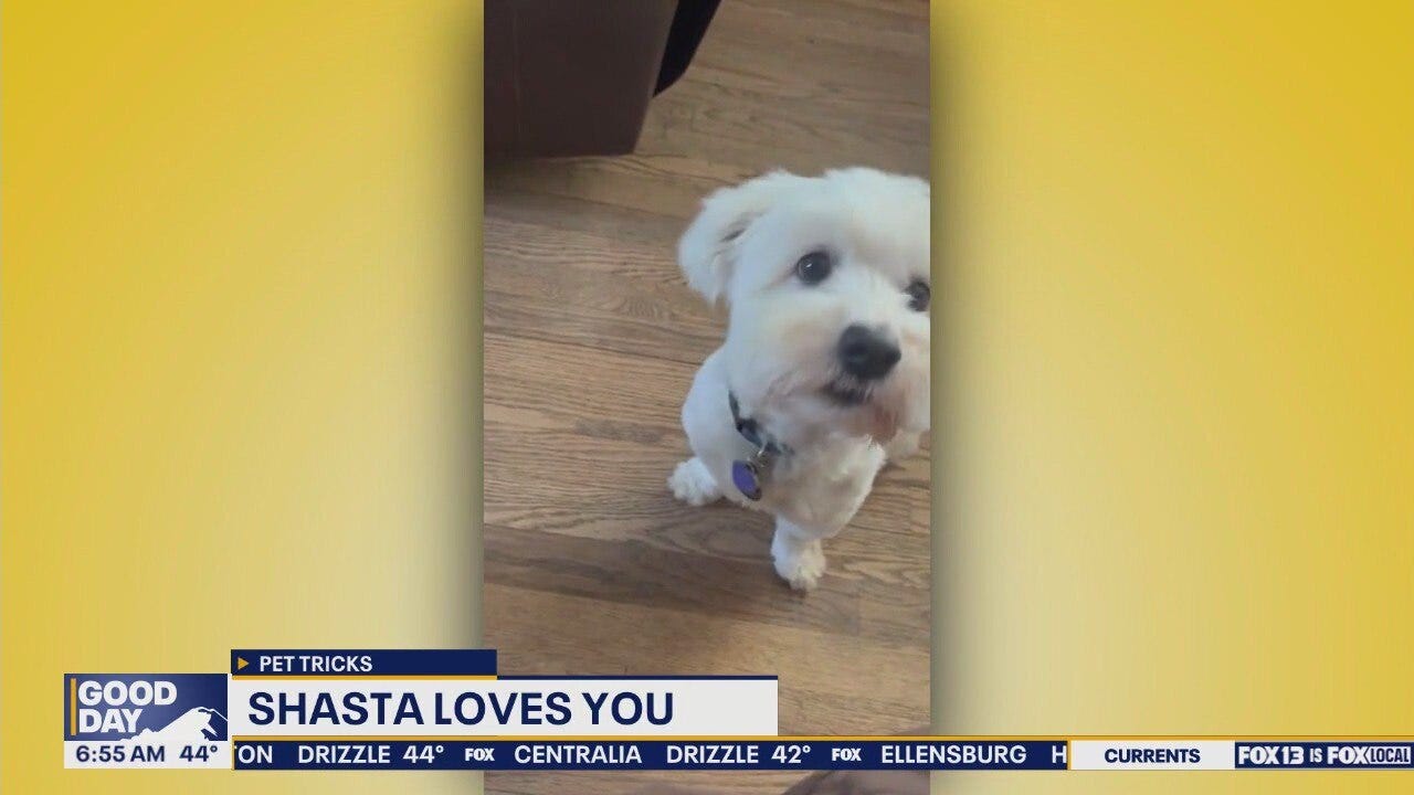 Pet Tricks for Thursday, December 18