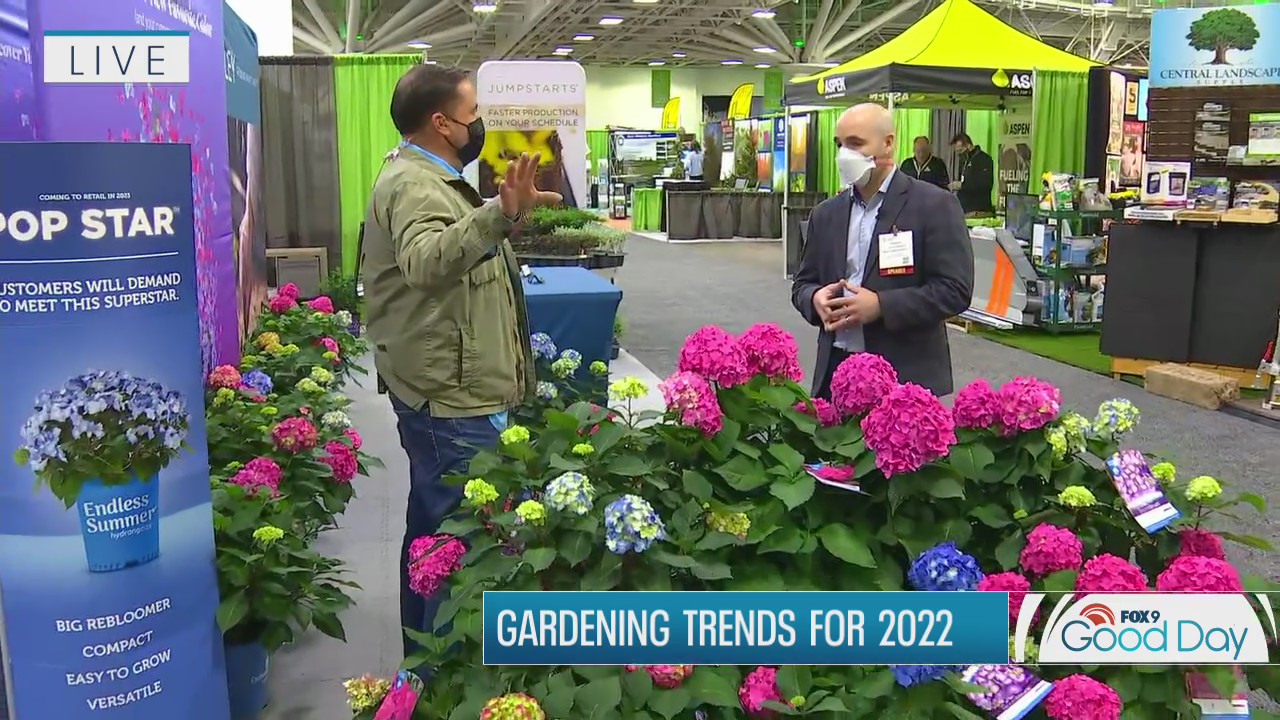 What gardening insiders say will be trending for 2022