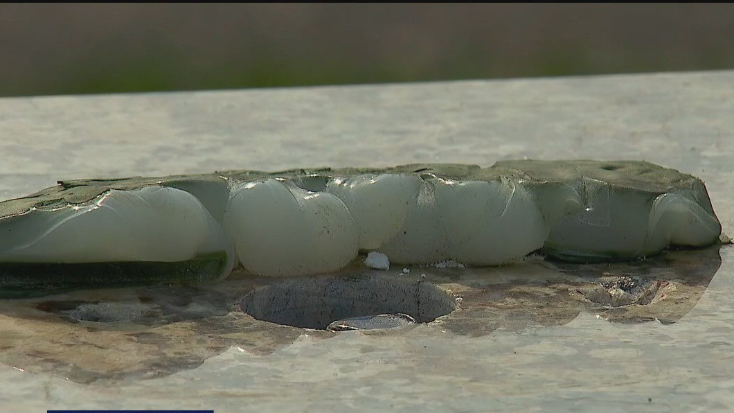 Suni Lee statue stolen from St. Paul park