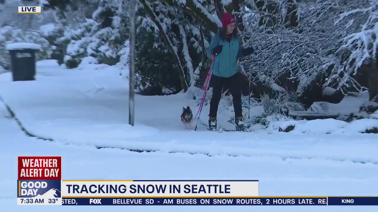 Snowfall in Seattle brings out neighborhood skiers