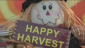 Charley's World | 'Fall Y'all Festival' this weekend in Clearwater