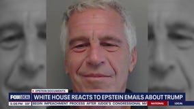 White House reacts to Epstein emails
