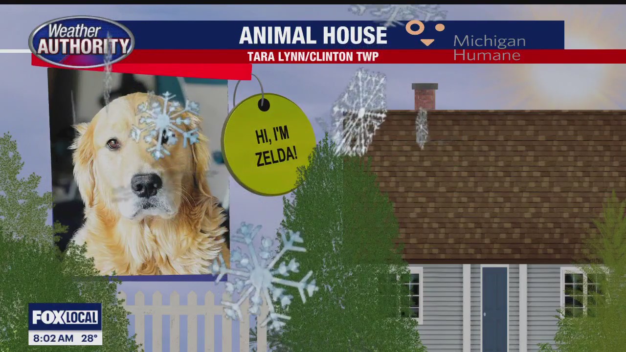 Welcome Zelda, Harsen & Mr. Moe