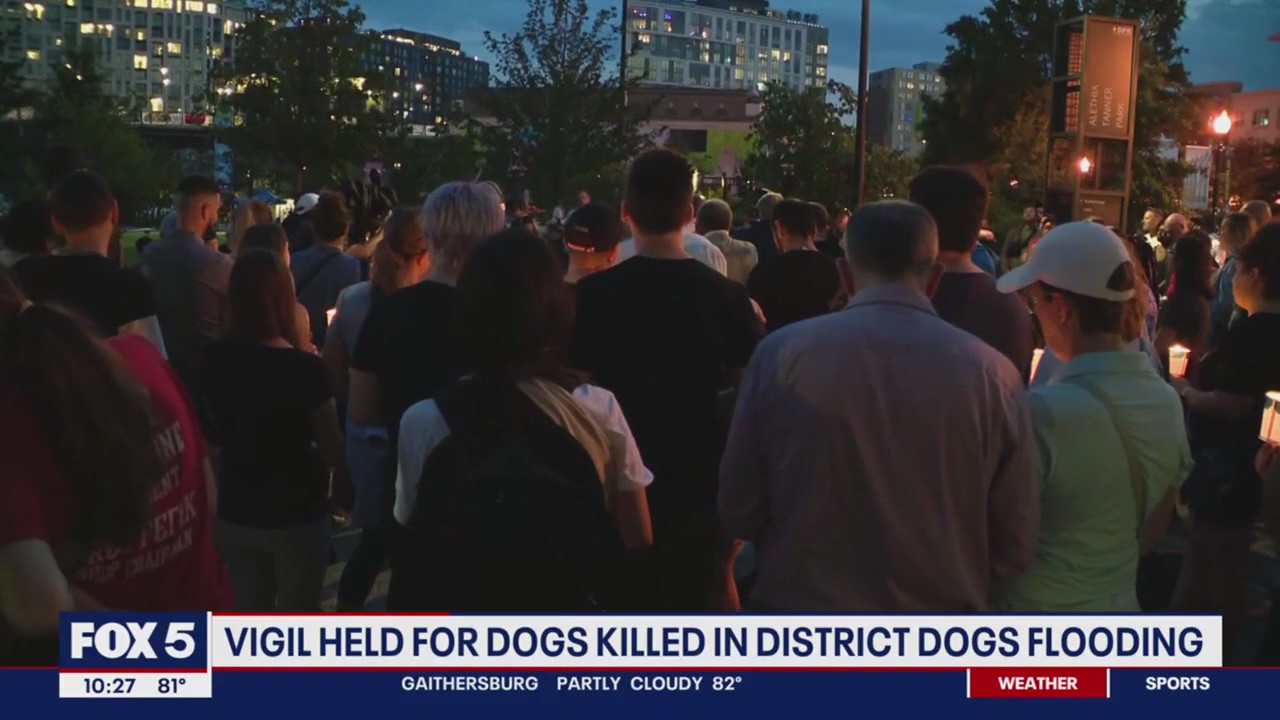 Vigil held for dogs killed in District Dogs flooding | FOX 5 DC