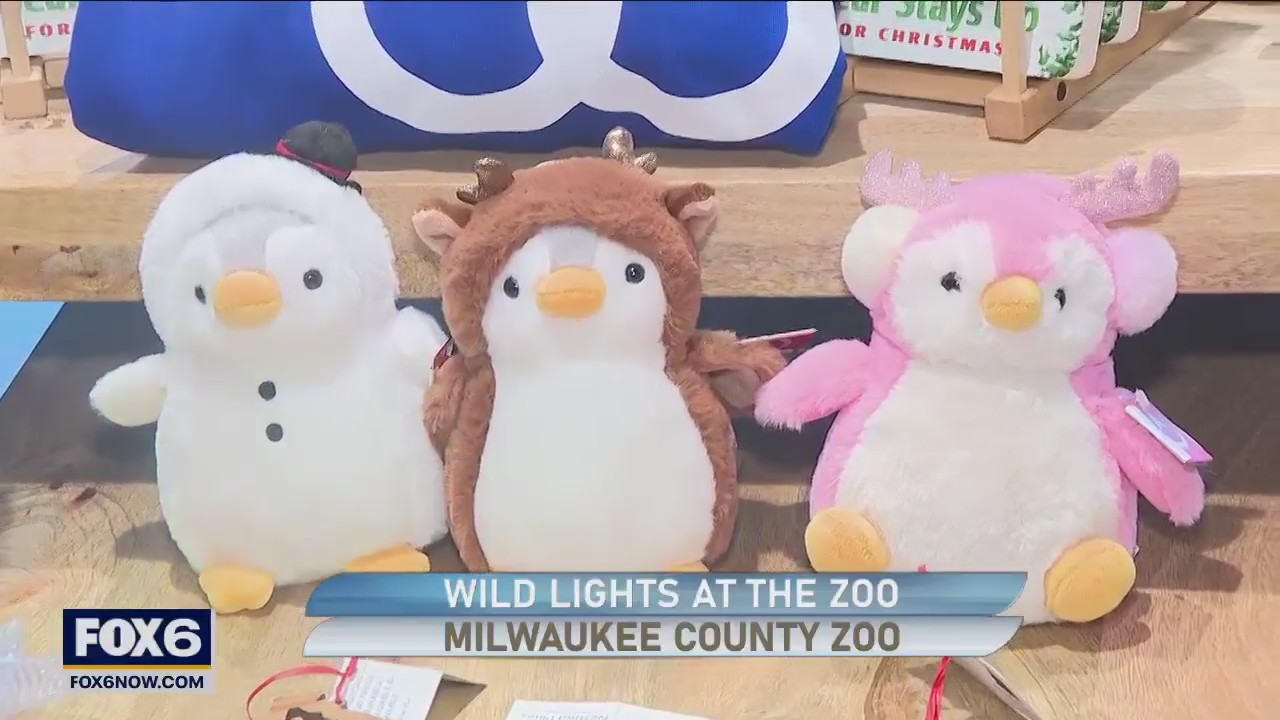 Experience the enchantment of the Wild Lights at the Zoo