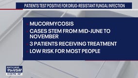 Seattle’s Harborview investigating after 6 patients get rare fungal infection