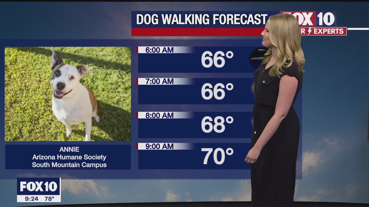 Weekend Weather Forecast