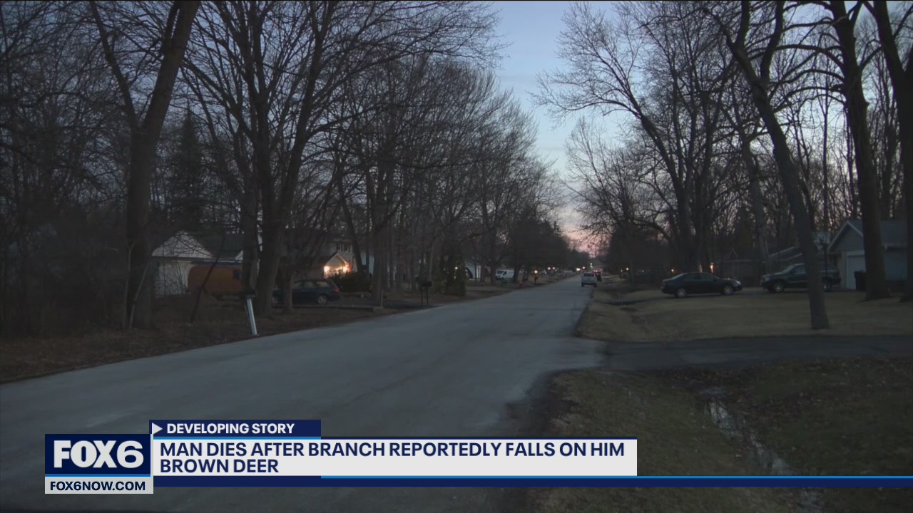 Branch falls in Brown Deer, man dies