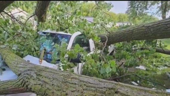 Canton family loses everything after tree collapse