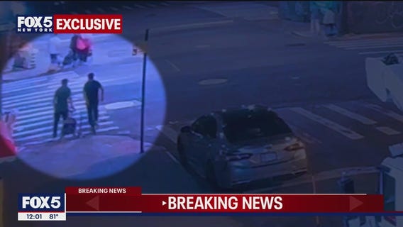 BMW driver at large after high-speed hit-and-run: WATCH