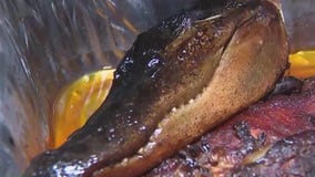 Houston-area business serving up smoked gator