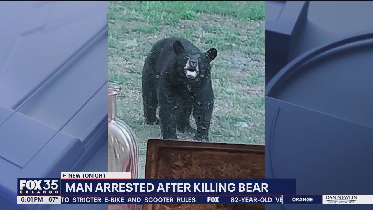 Man accused of killing a bear outside legal hunting season