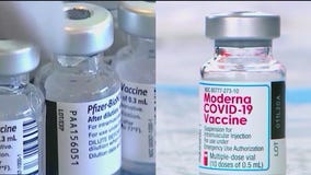 What strains of COVID-19 do the new vaccines target?