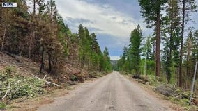 Firefighter who died on Dragon Bravo frontlines identified