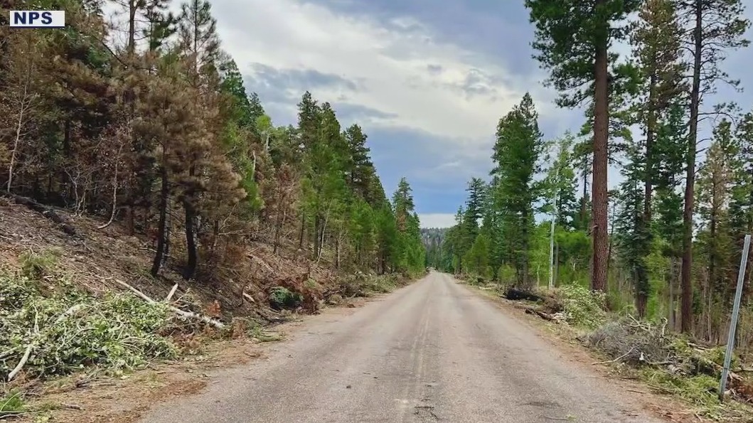 Firefighter who died on Dragon Bravo frontlines identified