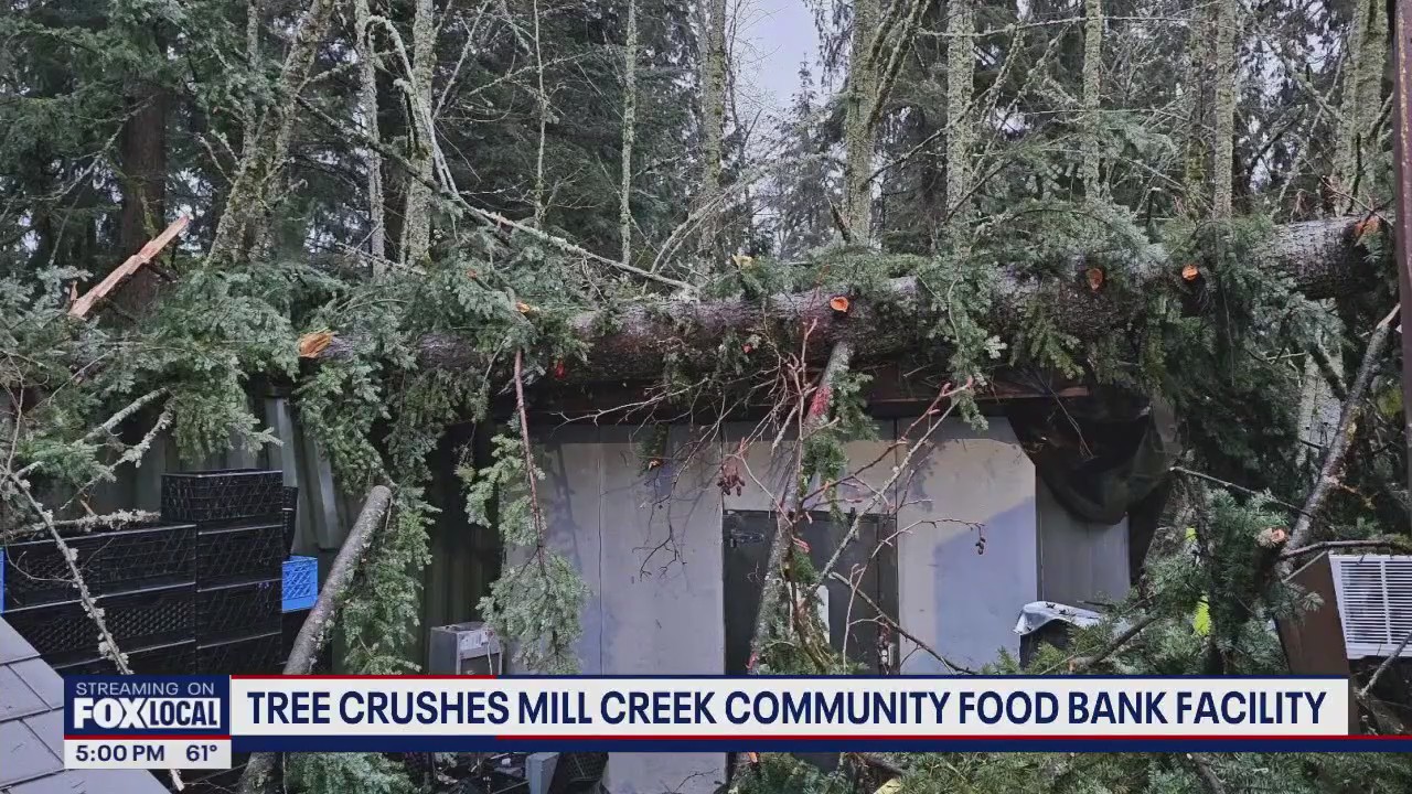 Tree crushes Mill Creek, WA food bank