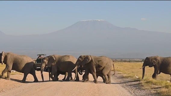 ?Safari tourism? is a lifeline for some parts of the world