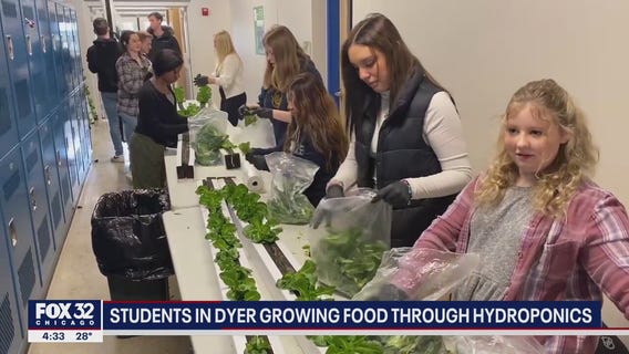 Indiana students growing food through hydroponics