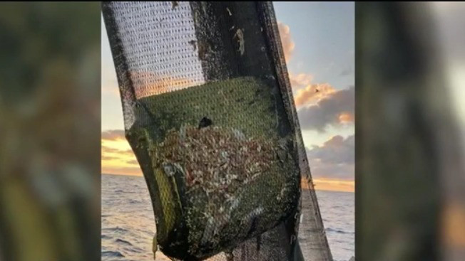 Florida shrimpers say they are catching space junk