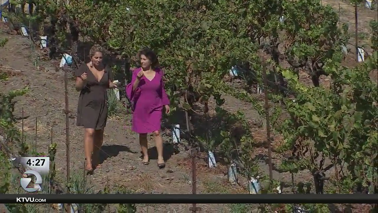 Mexican-American winemakers fulfill their American dream