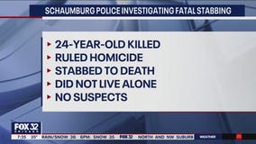 Woman stabbed to death in Schaumburg home