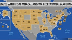 US hits record high for positive cannabis tests, see the numbers
